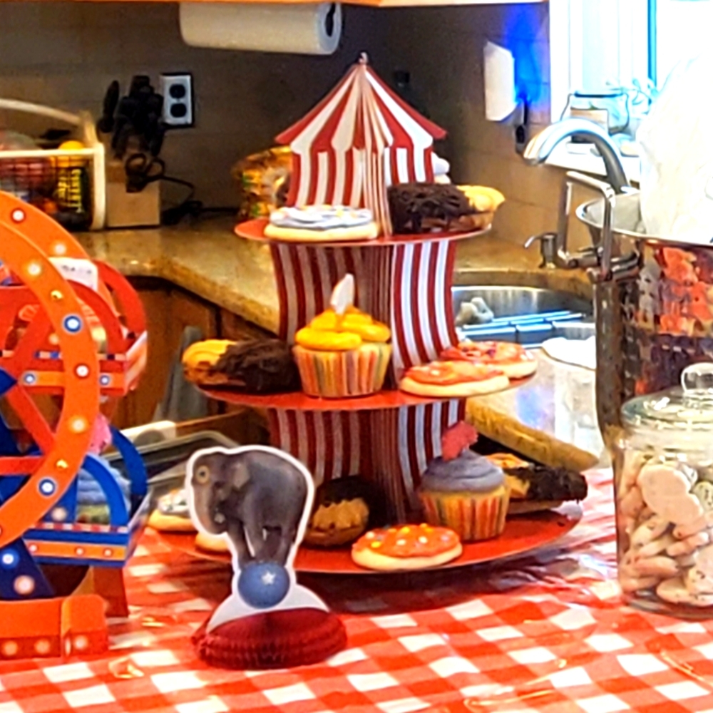 Cupcake stands